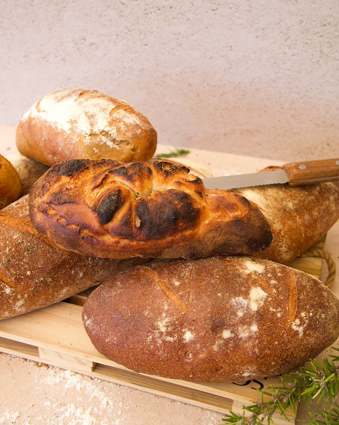 boulangerie bio figanieres-pains bio draguignan-livraison de pain callas-viennoiseries chateaudouble-patisserie figanieres-sandwich montferrat-boulangerie figanieres